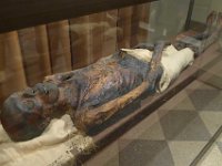 SPBconcert B Ermitage394