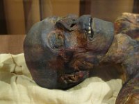 SPBconcert B Ermitage395