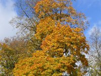 SPBconcert D Pushkin392