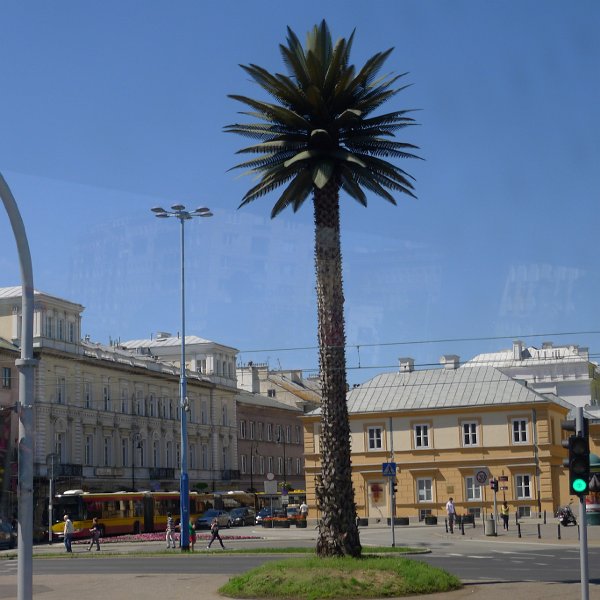 P1030250