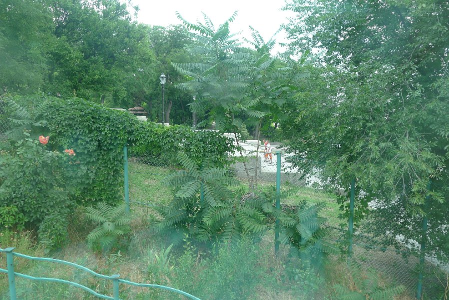 P1030382