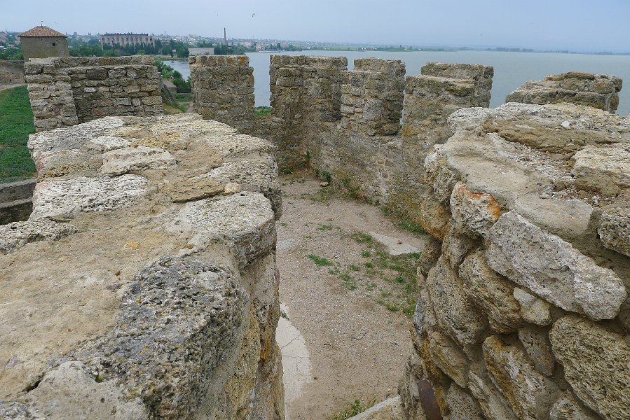 P1030431