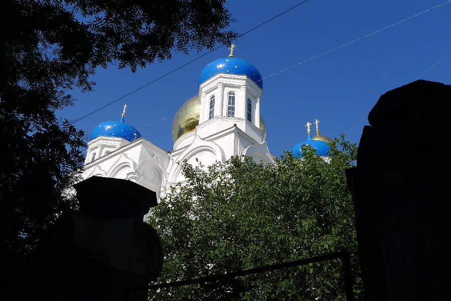 P1030484