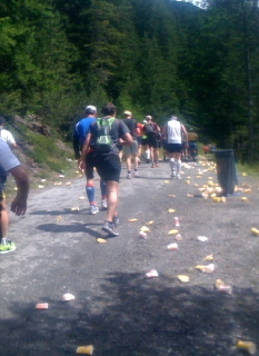 Swiss Alpine Marathon 2009