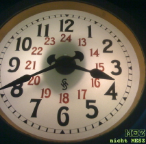 Swiss Alpine Marathon 2009