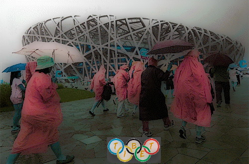 Beijing 2008 Rain Birds Nest