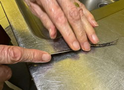 TaiJi Weihnachten 25